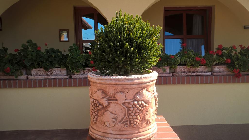 Vitis Vendégház Becsehely Exterior foto